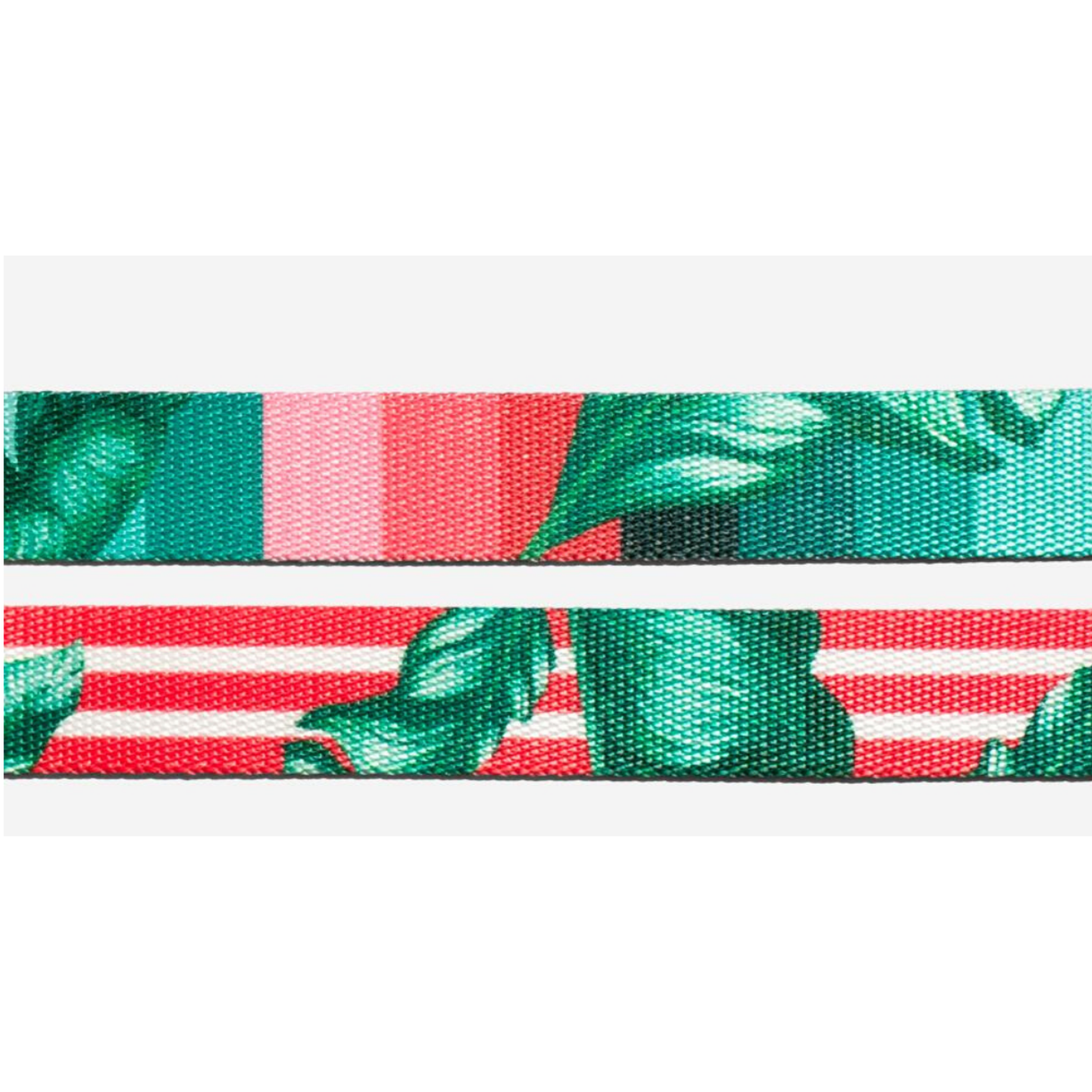 Zee.Cat Bali Cat Collar