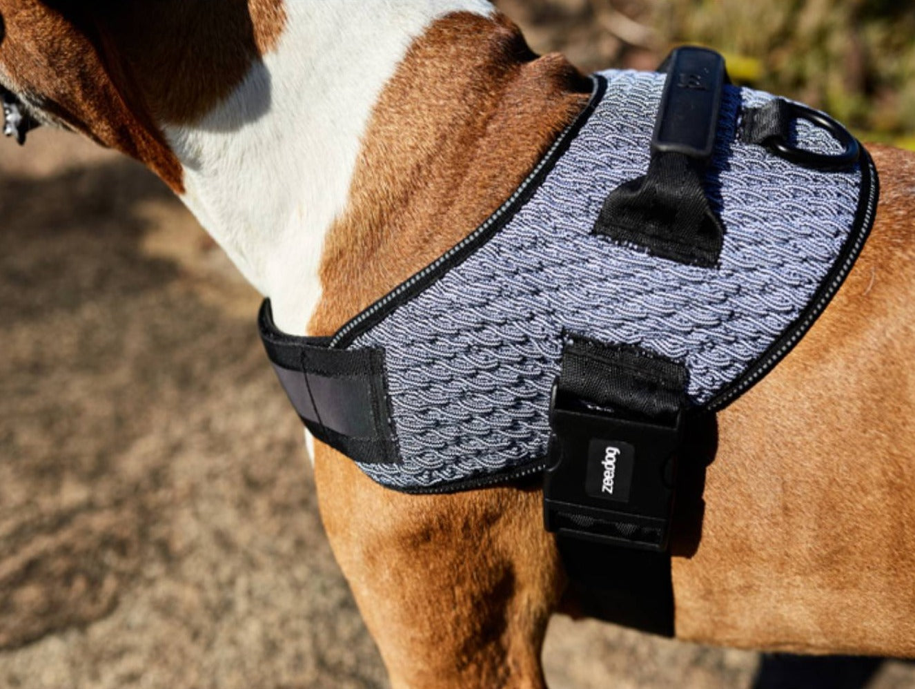 Zee.Dog Urban Fly Harness