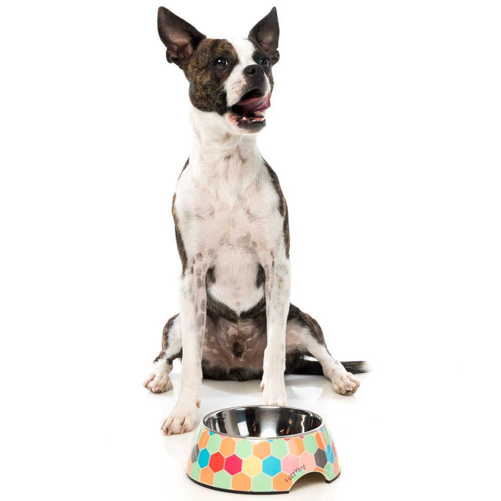 FuzzYard Easy Feeder Dog Bowl (The Hive)