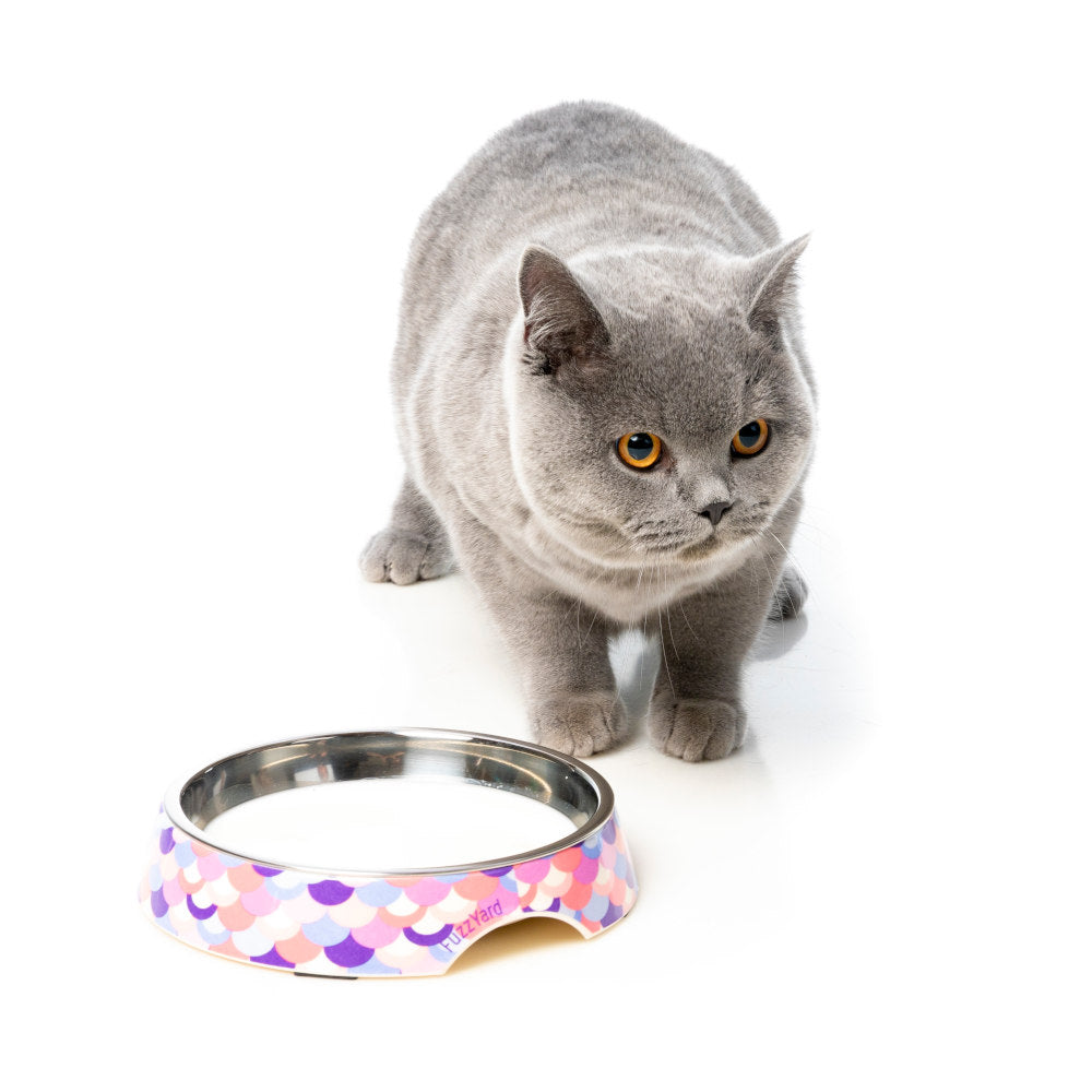 15% OFF: FuzzYard Easy Feeder Cat Bowl (Atlantica)