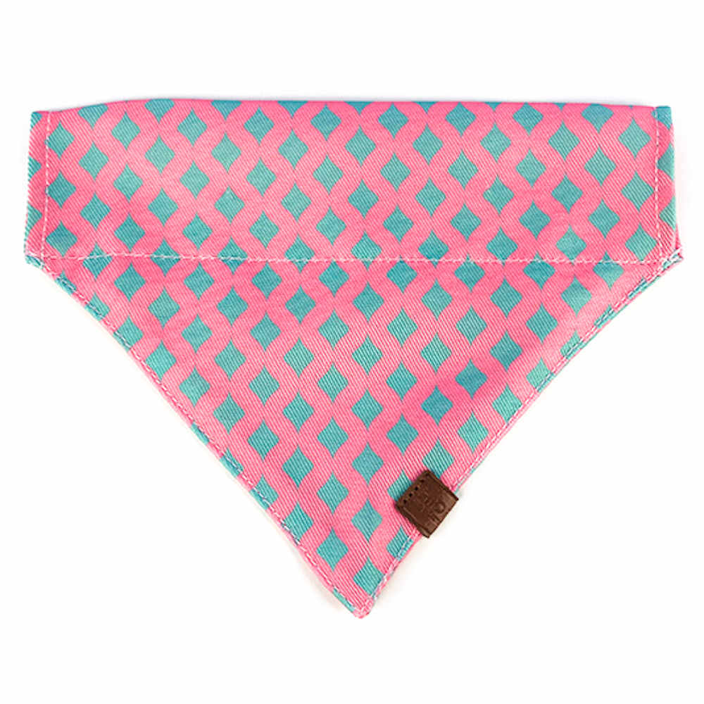 Hidream Profusion Dog & Cat Bandana (Bobby)