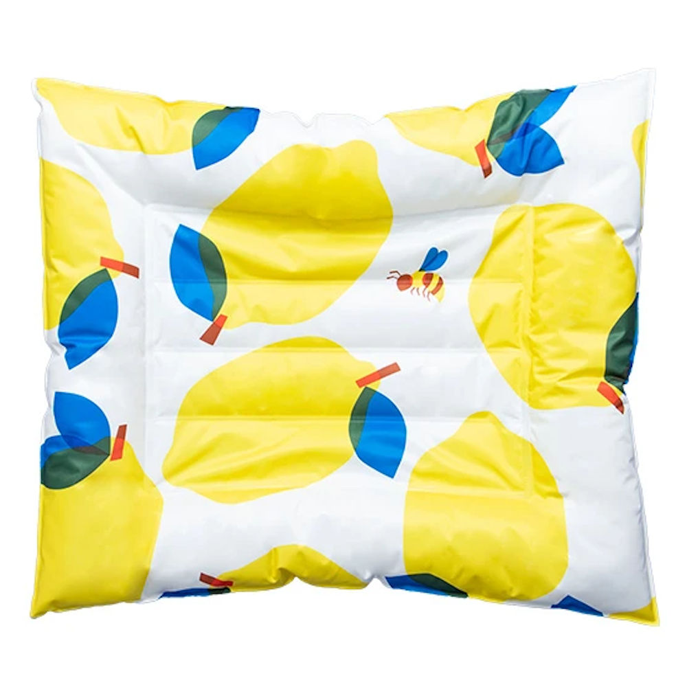 Pidan Honey Lemon Pet Cooling Bed
