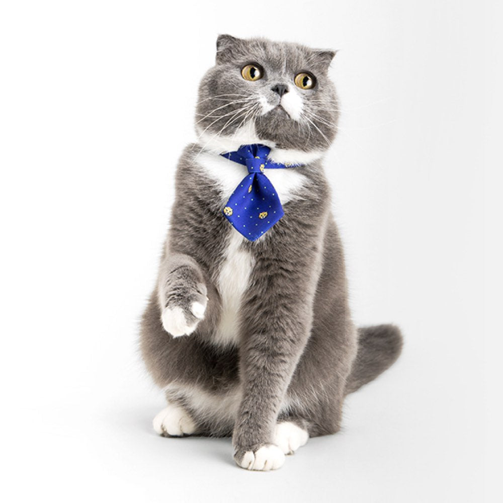 Pidan Necktie Cat Collar (Tiger)